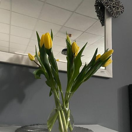 Apartman Smokovcek Високи Татри Екстериор снимка